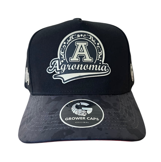 " Agronomía hat plata"